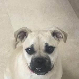 Meet your Posher, Morgan